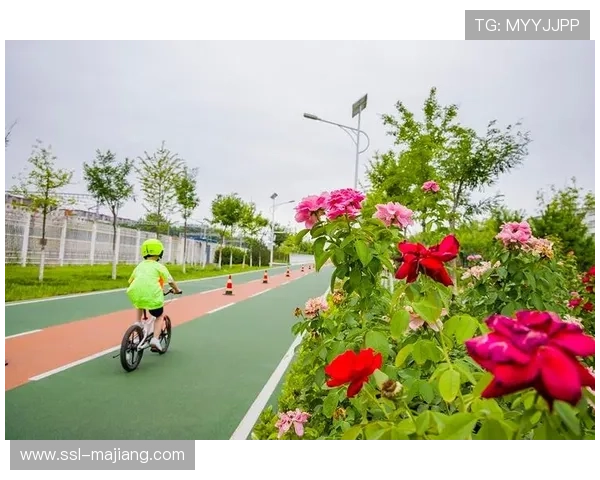 城市慢行系统与健身结合 鼓励绿色出行运动